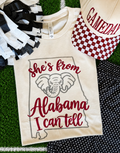 She’s From Alabama I Can Tell Tee